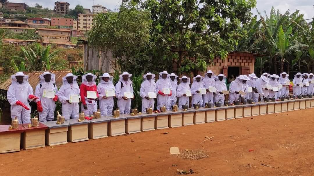 Formation apiculture professionnelle