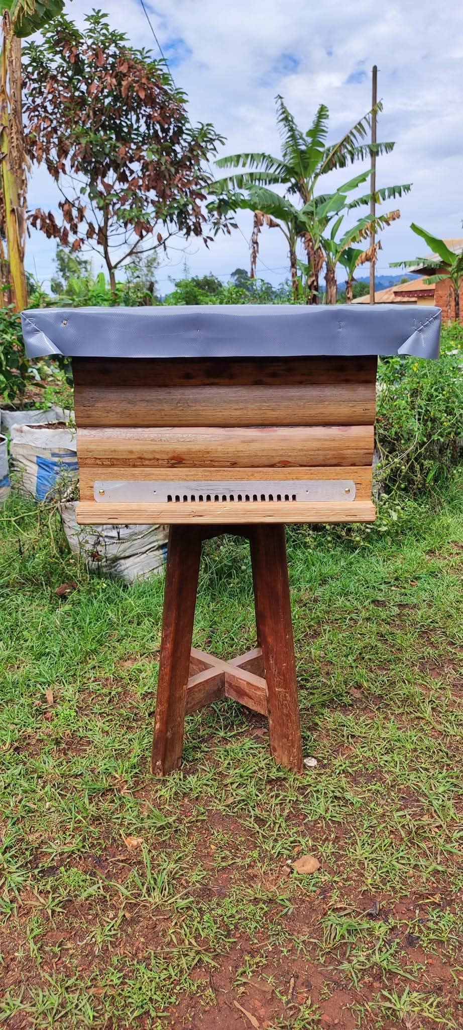 Ruche moderne Tamignaie